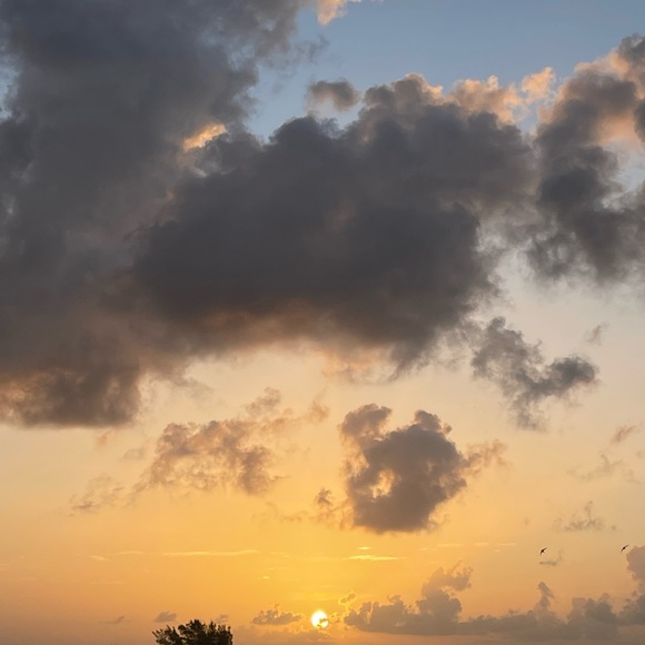 Meet your Posher, Posh J - Picture 2 of 4